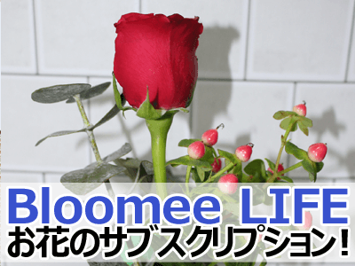 Bloomee LIFE